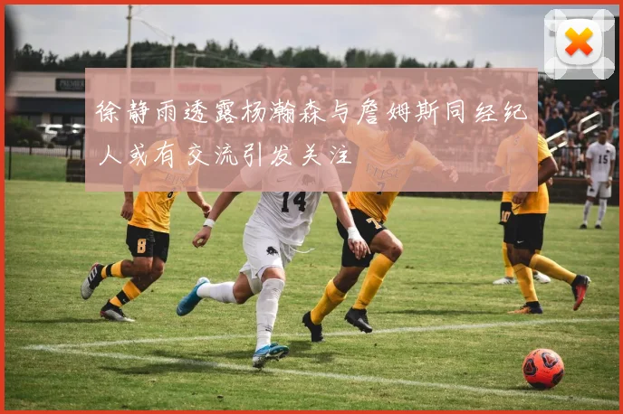 徐静雨透露杨瀚森与詹姆斯同经纪人或有交流引发关注