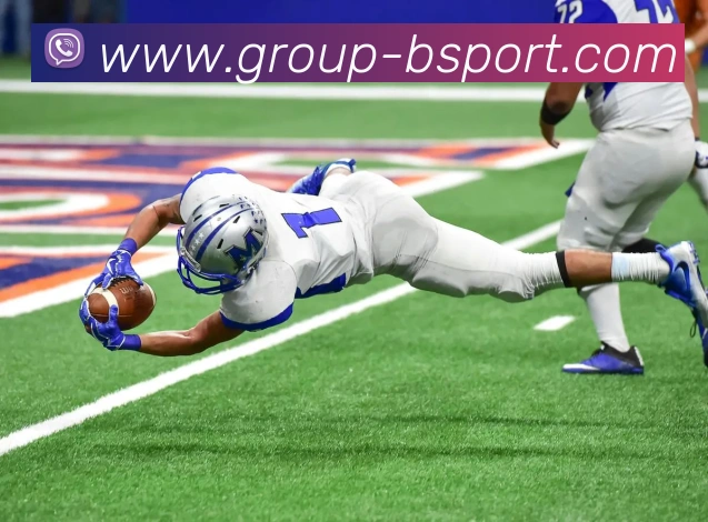 B体育平台生态图